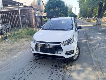 зарядное устройство для автомобилей: BYD : 2019 г., Электромобиль, Кроссовер