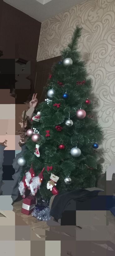 Qida məhsulları: Yolka teze kimidi defekti yoxdu 2.10 hundurlukde. Usdunde isiqlar, iri