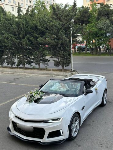 Nəqliyyat vasitəsinin icarəsi: Camaro masini toy nişan və digər tədbirlər üçün sifariş edə bilərsiz -da lalafo.az — 8 Nəqliyyat vasitəsinin icarəsi: Camaro masini toy nişan və digər tədbirlər üçün sifariş edə bilərsiz — 8