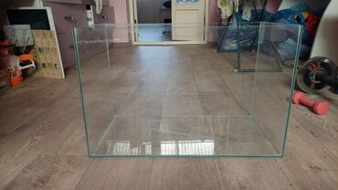 продаю раков: Аквариум