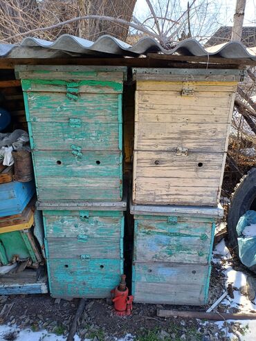 рамки для пчёл: Ульи Дадан на 24 рамки в хорошем состоянии. количество 9 штук с