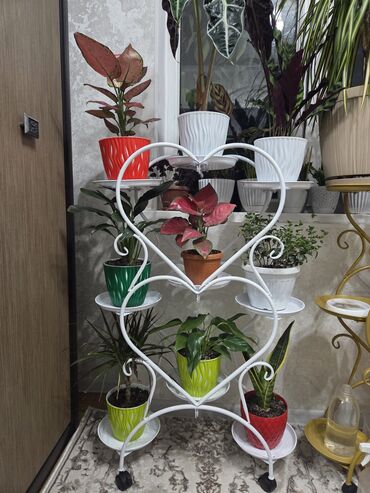 этажерка для овощей: Декор для дома и сада, Кашпо и цветники, Платная доставка, Самовывоз