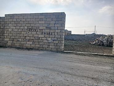 Tikinti