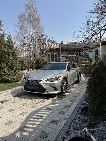 Lexus: Lexus ES: 2019 г., 2.5 л, Вариатор, Гибрид, Седан — 5