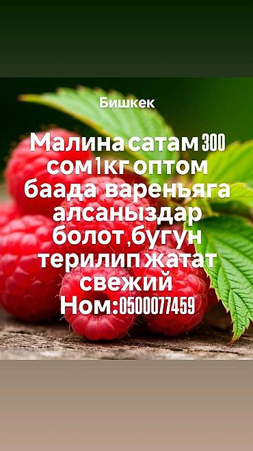 Жер-жемиштер: Малина Дүң — 1