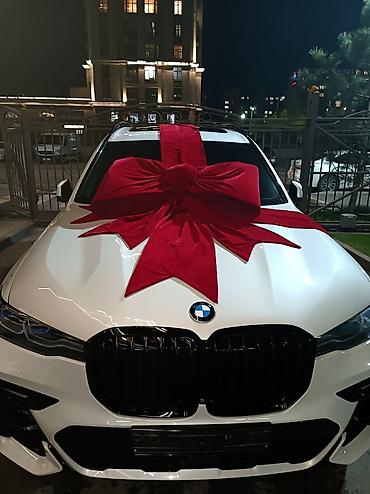 Организация мероприятий: Организация мероприятий | Гелевые шары, Ведущий, тамада, Аниматоры — 5