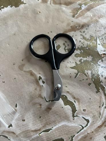 i̇tlər xaski: Pişik üçün dırnaq kəsən qayçı Demək olar istifadə olunmayıb Ev — 1