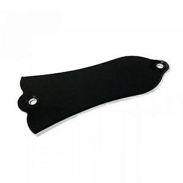bas gitara cena: ZVONO - GIBSON STYLE TRUSS ROD COVER LP | Slanje po dogovoru ili — 8