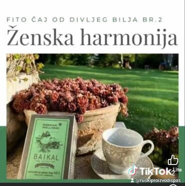 trex tea čaj: ŠTA JE SVAKOJ ŽENI POTREBNO? Malo vremena za sebe i. šoljica čaja.🫖