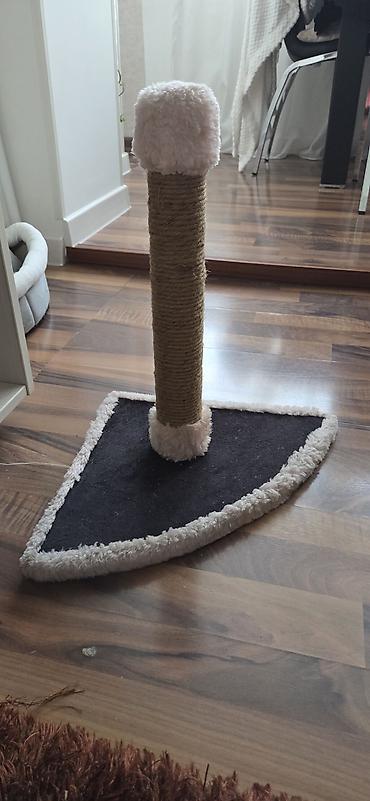 Pişik üçün dırmaşma və dırnaq itiləmə dirəyi. - Material: təbii sizal lalafo.az -da Pişik üçün dırmaşma və dırnaq itiləmə dirəyi. - Material: təbii sizal