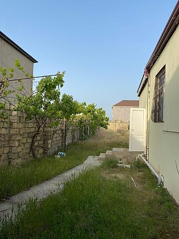 bagi: 12 sot, Tikinti, Mülkiyyətçi, Kupça (Çıxarış) — 10