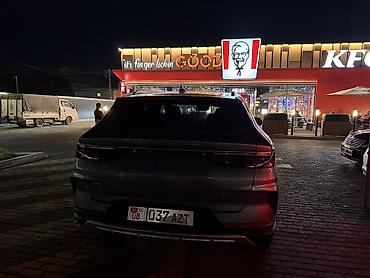 подсветка для машины в салон: BYD Song Plus: 2022 г., 0.1 л, Автомат, Электромобиль, Кроссовер — 3