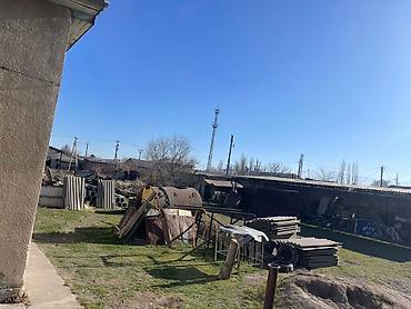 Продажа коттеджей и домов: 3 комнаты, 50 м², 35 соток, Бишкек, Собственник at lalafo.kg — 4 Продажа коттеджей и домов: 3 комнаты, 50 м², 35 соток, Бишкек, Собственник — 4