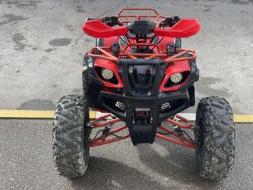 Kvadrosikllar: 200 sm3, 2022 il, 2900 km — 9