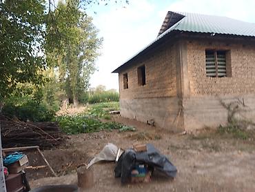 Продажа коттеджей и домов: Продаётся дом село Полтавке в одном участке два дома 1ый дом полтора — 2