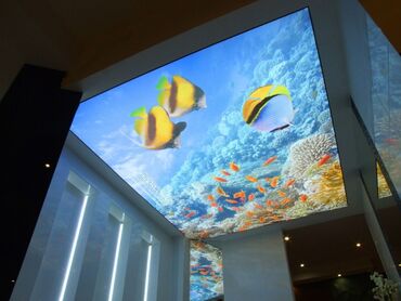 Tavan işləri: 💎Dartma Tavan💎 ⚪⬜Sadə Ag Tavan 1kvm - 30Azn 💠🔶️Şekilli Dekor Tavan -da lalafo.az — 23 Tavan işləri: 💎Dartma Tavan💎 ⚪⬜Sadə Ag Tavan 1kvm - 30Azn 💠🔶️Şekilli Dekor Tavan — 23