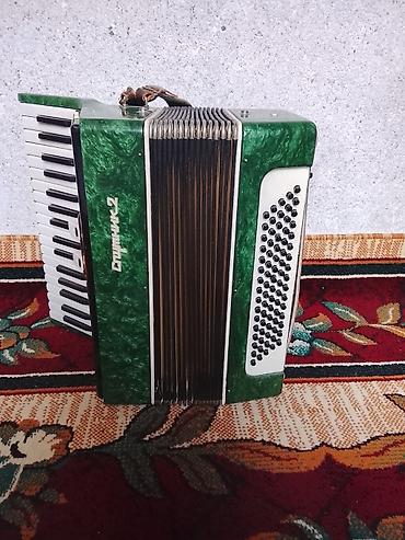 ночной видения цена: Аккордеон «Дружба-2» (клавишно-аккордеонная система), зелёный — 2