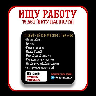 Помощник. Без опыта