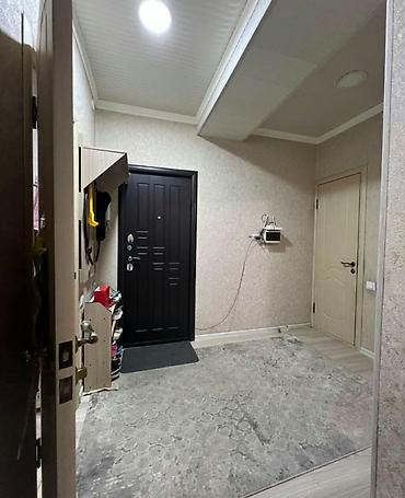 18: 1 комната, 43 м², Элитка, 7 этаж, Евроремонт — 9
