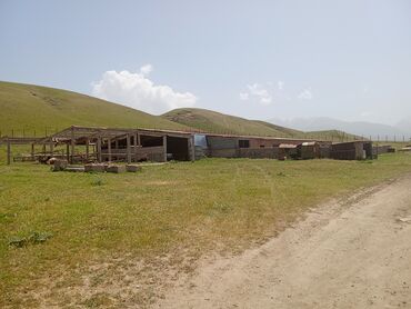 Продажа участков: 120 соток, Для сельского хозяйства, Красная книга — 9