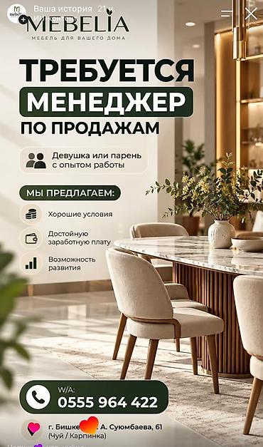 Сатуулар: Талап кылынат Сатуу боюнча менеджер, Иш тартиби: Алты күндүк, Толук жумуш күнү, Карьера жактан көтөрүлүү — 1