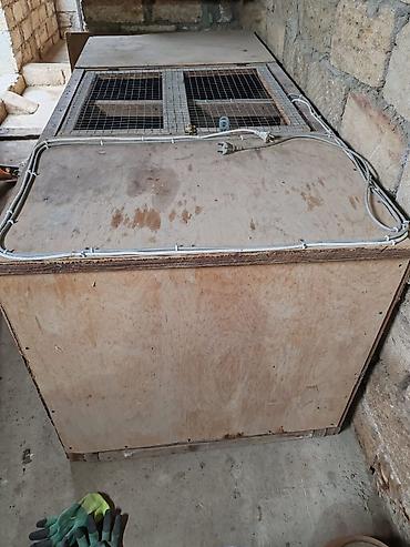 İnkubatorlar: Taxta inkubator/qızdırılan brooder qutusu - Material: fanera taxta — 2