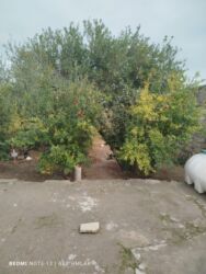 Həyət evləri və villaların satışı: 3 otaqlı, 160 kv. m, Kredit yoxdur, Orta təmir — 6