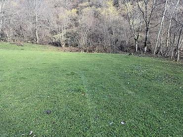 Torpaq sahələrinin satışı: 35 sot, Mülkiyyətçi — 8