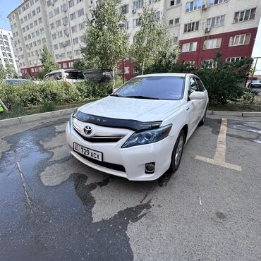 runx alex: Toyota Camry: 2009 г., 2.4 л, Автомат, Бензин, Седан