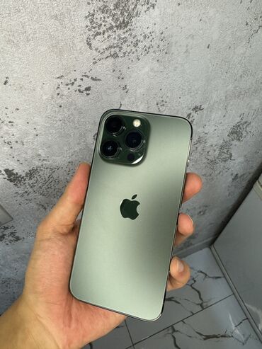 Apple iPhone: IPhone 13 Pro, Б/у, 256 ГБ, Alpine Green, Защитное стекло, Кабель, 85 %