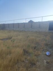 Bağ və bostan üçün digər məhsullar: Qobuda arkodan 1km metir məsafədə asvaltdan 20 metir içəridir 8 — 3