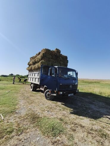 прицепы для грузовых автомобилей б у: Грузовик, Mercedes-Benz, Дубль, Б/у