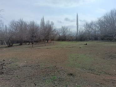 Həyət evi alıram: Unvan:Goranboy Məhlə sənətdə 25 sotdu ancaq 35 sotdan çokdu. Əl evi — 8