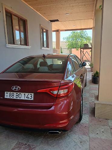 kia optima nece masindi: Salam Il 2014
Real Alicilar Narahat etsin
Qiymetde endirim olacag — 7