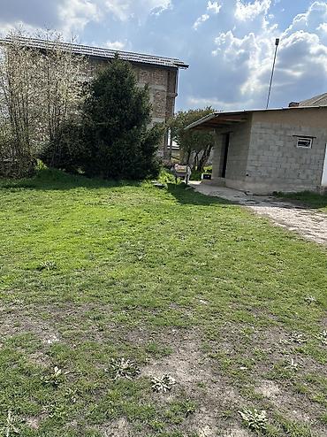 бир: 12 соток, Курулуш, Кызыл китеп — 6