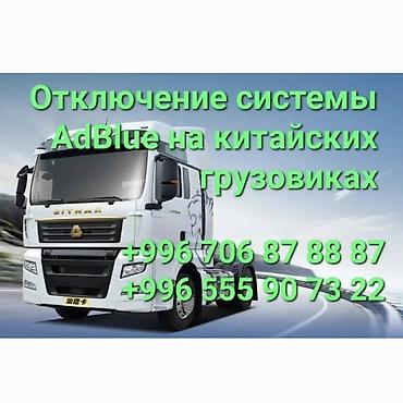 ремонт nintendo switch: Услуга: отключение системы AdBlue (SCR) на китайских грузовиках — 1