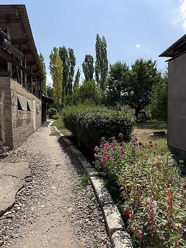 дом шалта: Дом с участком и хозяйственными постройками Продаю дом,по улице — 2