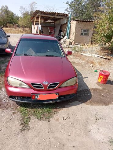 хундай елентро: Nissan Primera: 2000 г., 1.6 л, Механика, Бензин, Седан