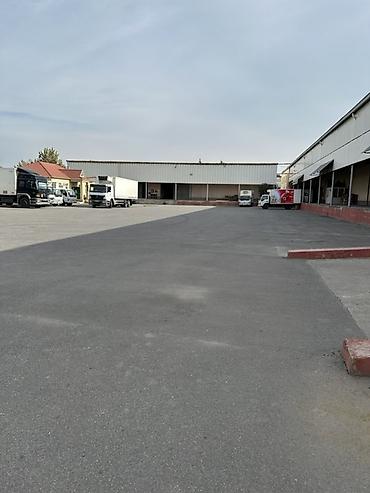 məhəmmədli kirayə: Soyuduculu anbar sahəsi və logistik meydança - Geniş, tam — 1