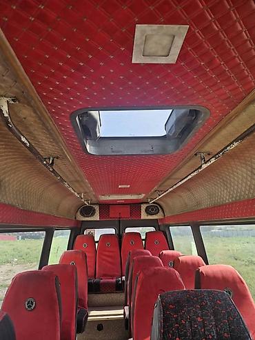 Mercedes-Benz: Mercedes-Benz Спринтер: 2000 г., Бус — 14