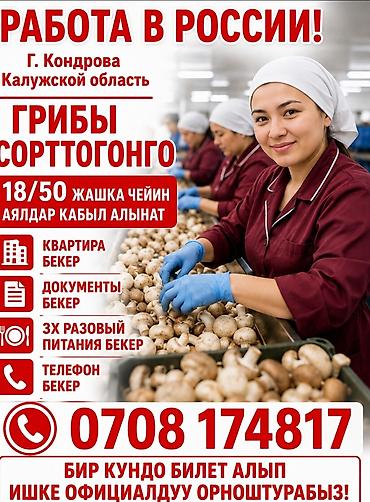 дордой работа: Талап кылынат Өндүрүшкө кара жумушчу, Төлөм: Күнүмдүк, Тажрыйбасыз — 1