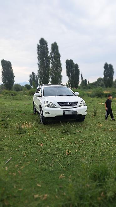 devo matiz: Lexus RX: 2004 г., Автомат, Бензин, Кроссовер — 2