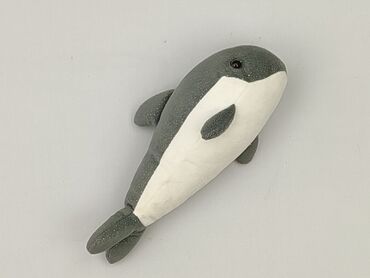 Mascot Dolphin, condition - Perfect