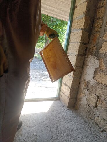 Süd məhsulları və yumurtalar: 🍯 BAL – həm dad, həm də şəfa. Təmiz təbiətdən gələn bu bal
