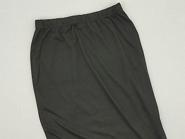 ptak moda plus size: Shein Curve, Spódnica damska, rozmiar XL — 1