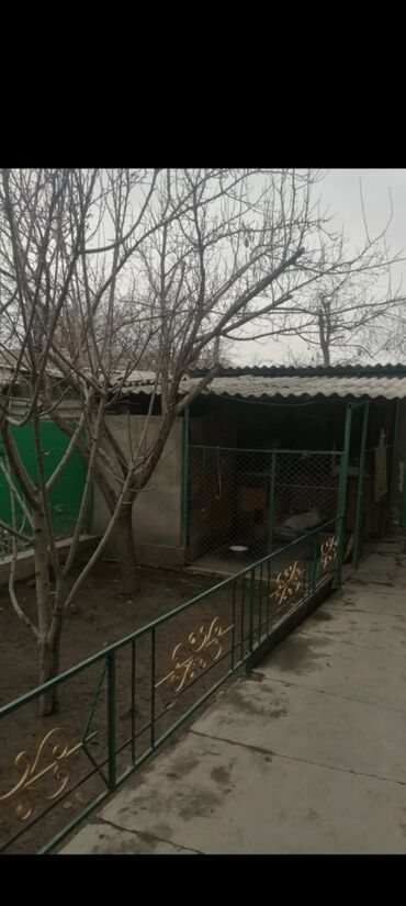 дом балыкчы этаж: 63 кв. м, 4 бөлмө, Унаа токтотуучу жай, Сарай, Забор, тосулган