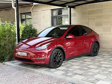 Tesla Model Y: 2020 г., Электромобиль, Лифтбек