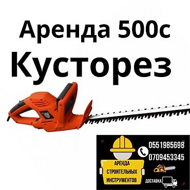 Аренда инструментов, оборудования: Трамбовка аренда Лягушка День 1200с трамбовка. 1500сутки — 2