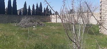 Torpaq sahələrinin satışı: 9 sot, Tikinti, Mülkiyyətçi, Kupça (Çıxarış) — 3