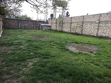 Daşınmaz əmlak: Salam Torpak 4 sotdur Uctepede yolun qragindadir Razilasma var — 1